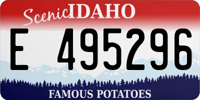 ID license plate E495296