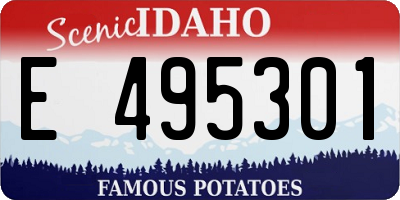 ID license plate E495301