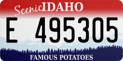 ID license plate E495305
