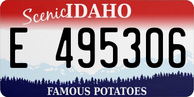 ID license plate E495306
