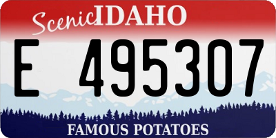 ID license plate E495307
