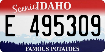 ID license plate E495309