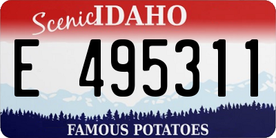 ID license plate E495311