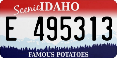 ID license plate E495313