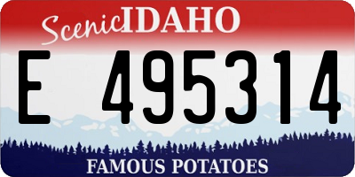 ID license plate E495314