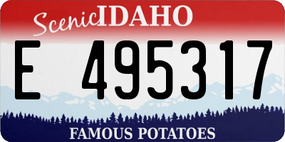 ID license plate E495317
