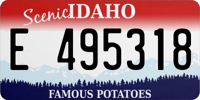 ID license plate E495318