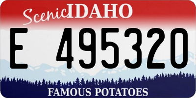 ID license plate E495320