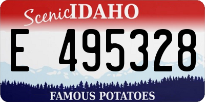 ID license plate E495328