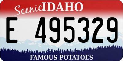ID license plate E495329