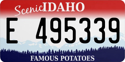 ID license plate E495339