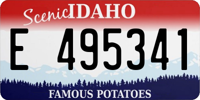 ID license plate E495341