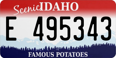 ID license plate E495343