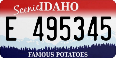 ID license plate E495345