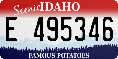 ID license plate E495346
