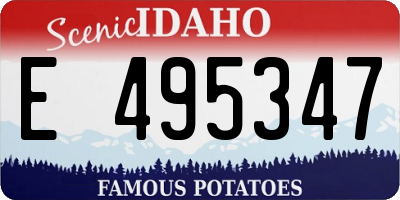 ID license plate E495347