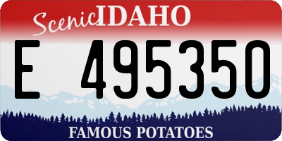 ID license plate E495350