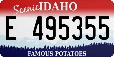 ID license plate E495355
