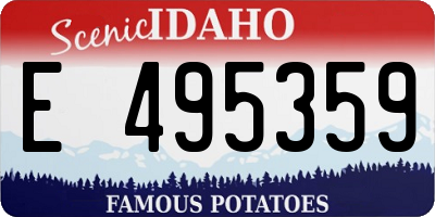 ID license plate E495359