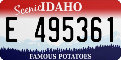 ID license plate E495361
