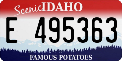 ID license plate E495363