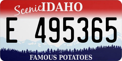 ID license plate E495365
