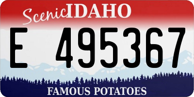 ID license plate E495367