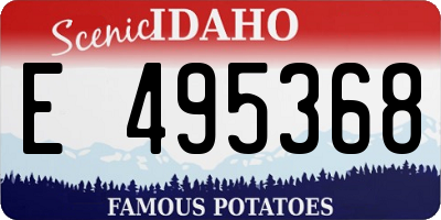 ID license plate E495368