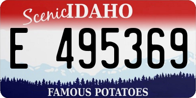 ID license plate E495369