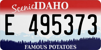 ID license plate E495373