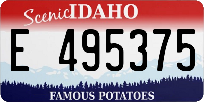 ID license plate E495375