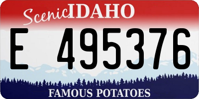 ID license plate E495376