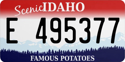 ID license plate E495377
