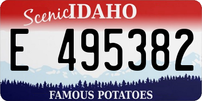 ID license plate E495382