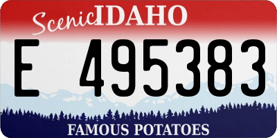ID license plate E495383