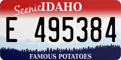 ID license plate E495384