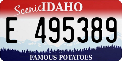 ID license plate E495389
