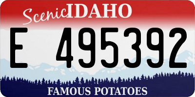 ID license plate E495392