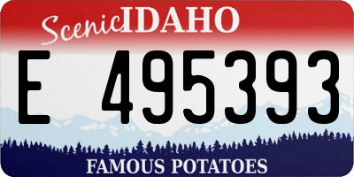 ID license plate E495393