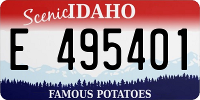 ID license plate E495401