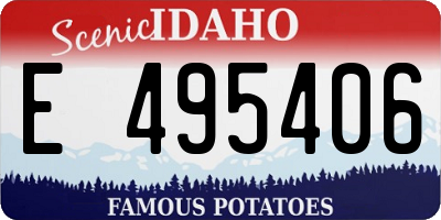 ID license plate E495406