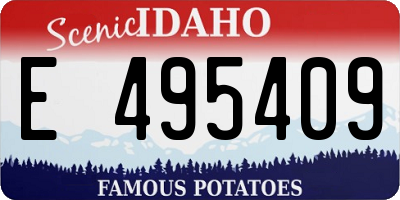 ID license plate E495409