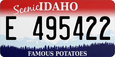 ID license plate E495422