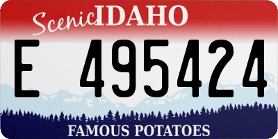 ID license plate E495424
