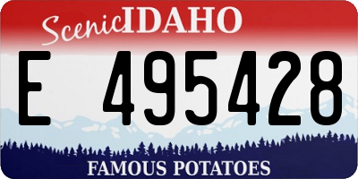 ID license plate E495428