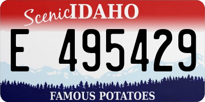 ID license plate E495429