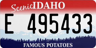 ID license plate E495433