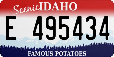 ID license plate E495434