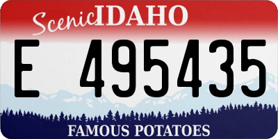 ID license plate E495435