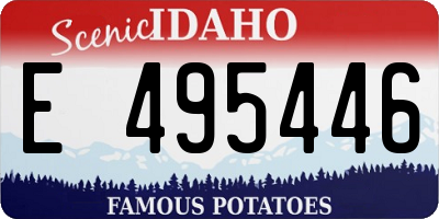 ID license plate E495446